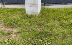 Vo Veľkom &Scaron;ari&scaron;i stavebn&yacute; pozemok na predaj